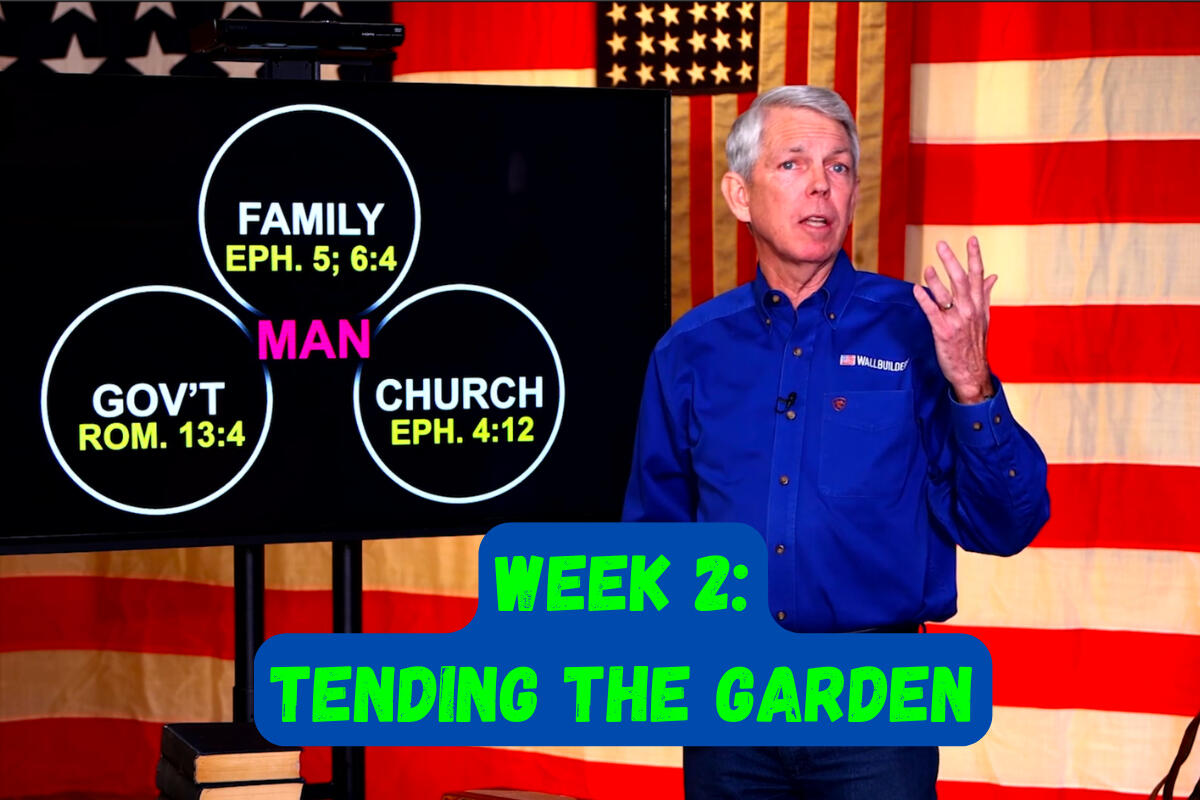 Week 2: Tending the Garden
